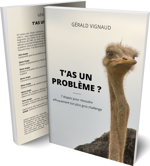 livre-probleme-mockup